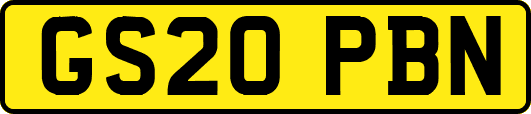 GS20PBN