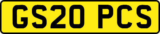 GS20PCS
