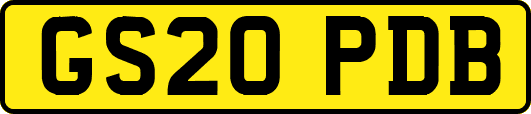 GS20PDB