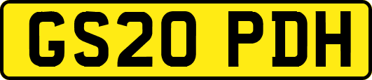 GS20PDH