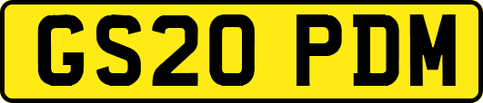 GS20PDM
