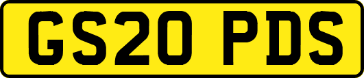 GS20PDS