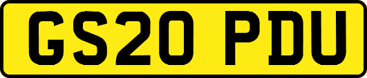 GS20PDU