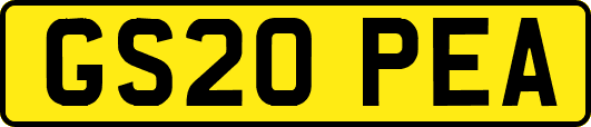 GS20PEA