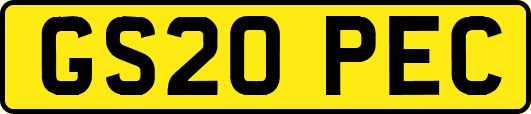 GS20PEC