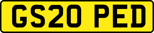 GS20PED