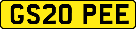 GS20PEE