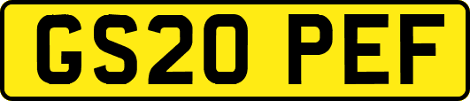 GS20PEF