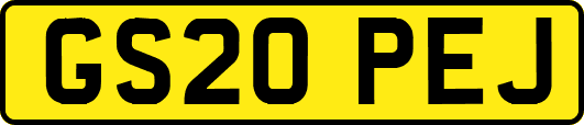 GS20PEJ
