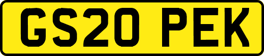 GS20PEK