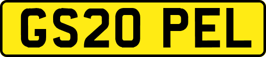 GS20PEL