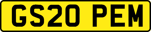 GS20PEM