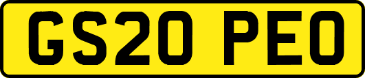 GS20PEO