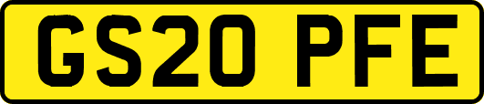 GS20PFE