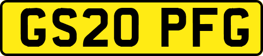 GS20PFG