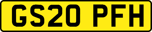 GS20PFH