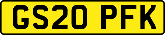 GS20PFK