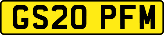 GS20PFM