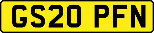 GS20PFN