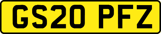 GS20PFZ
