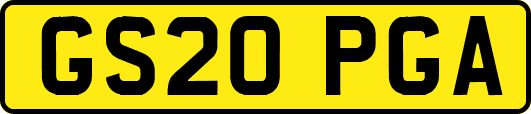 GS20PGA