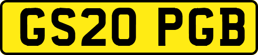 GS20PGB