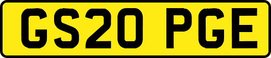 GS20PGE