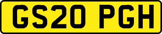 GS20PGH