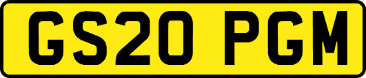 GS20PGM