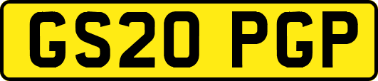 GS20PGP