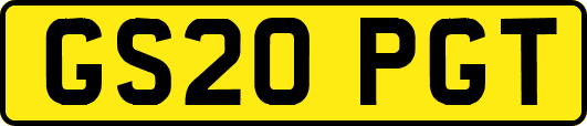GS20PGT