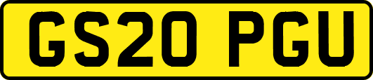 GS20PGU
