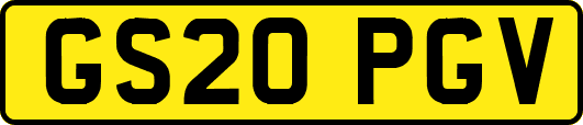 GS20PGV