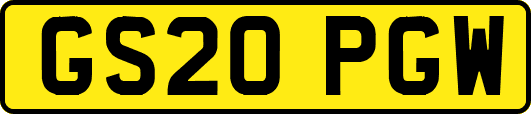 GS20PGW
