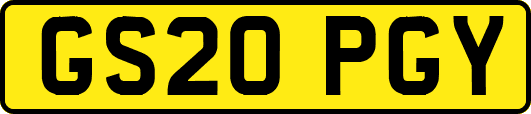 GS20PGY