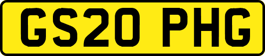 GS20PHG