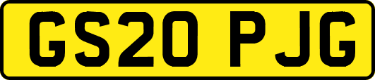 GS20PJG