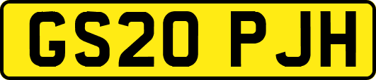 GS20PJH