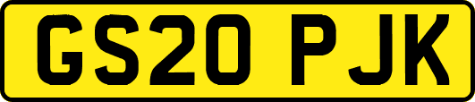 GS20PJK