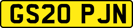 GS20PJN