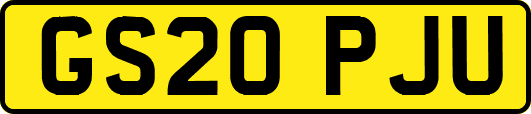 GS20PJU