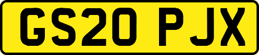GS20PJX