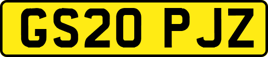 GS20PJZ