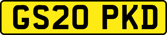 GS20PKD