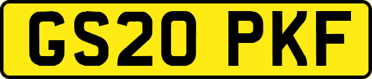 GS20PKF