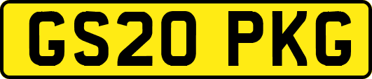 GS20PKG