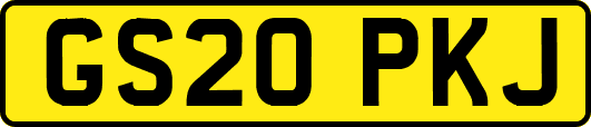 GS20PKJ