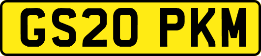 GS20PKM