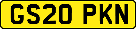 GS20PKN