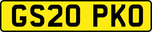 GS20PKO